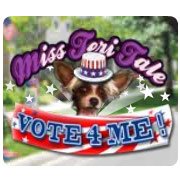 Обложка игры Miss Teri Tale: Vote 4 Me