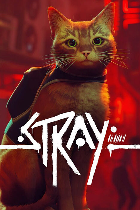 Обложка Stray