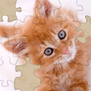 Обложка Adorable Kitten Jigsaw Puzzle