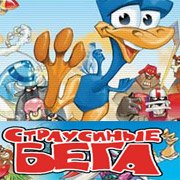 Обложка Страусиные бега