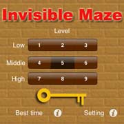 Обложка игры Invisible Maze