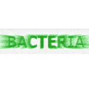 Обложка Bacteria