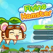 Обложка игры Flying Hamster