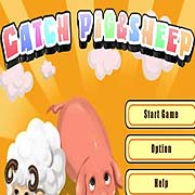 Обложка Catch Sheeps&Pigs