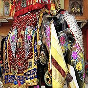 Обложка Seven Wonders: Quest for Koh-i-noor