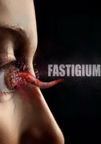 Обложка Fastigium