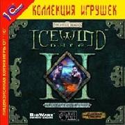 Обложка игры Icewind Dale II