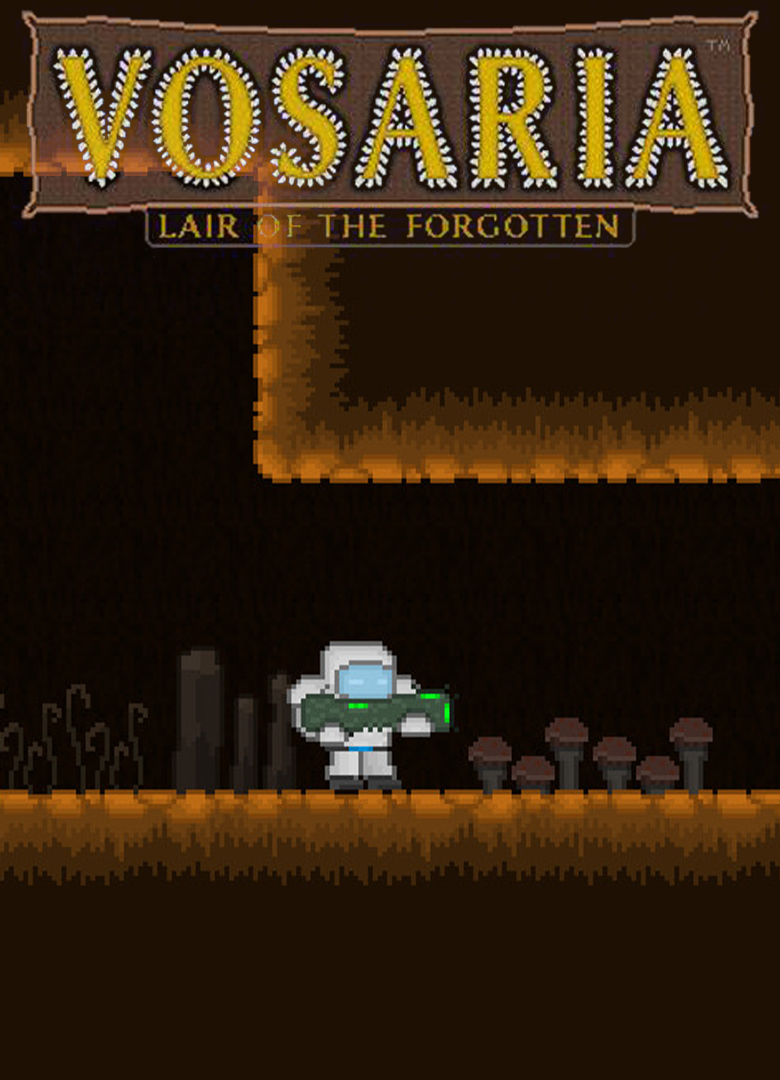 Обложка игры Vosaria: Lair of the Forgotten
