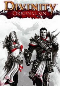 Обложка игры Divinity: Original Sin