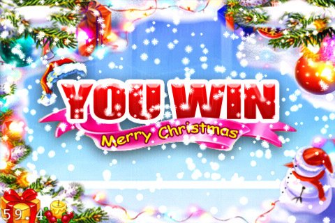 Скриншот из игры Ice Hockey Girl - 2