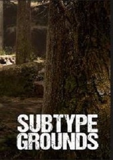 Обложка Subtype Grounds