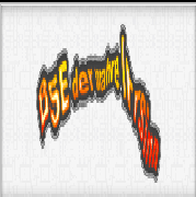 Обложка BSE - der wahre Irrsinn