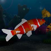Обложка игры Koi Pond 3D