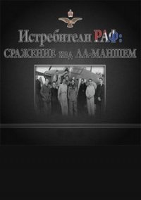 Обложка игры Истребители РАФ