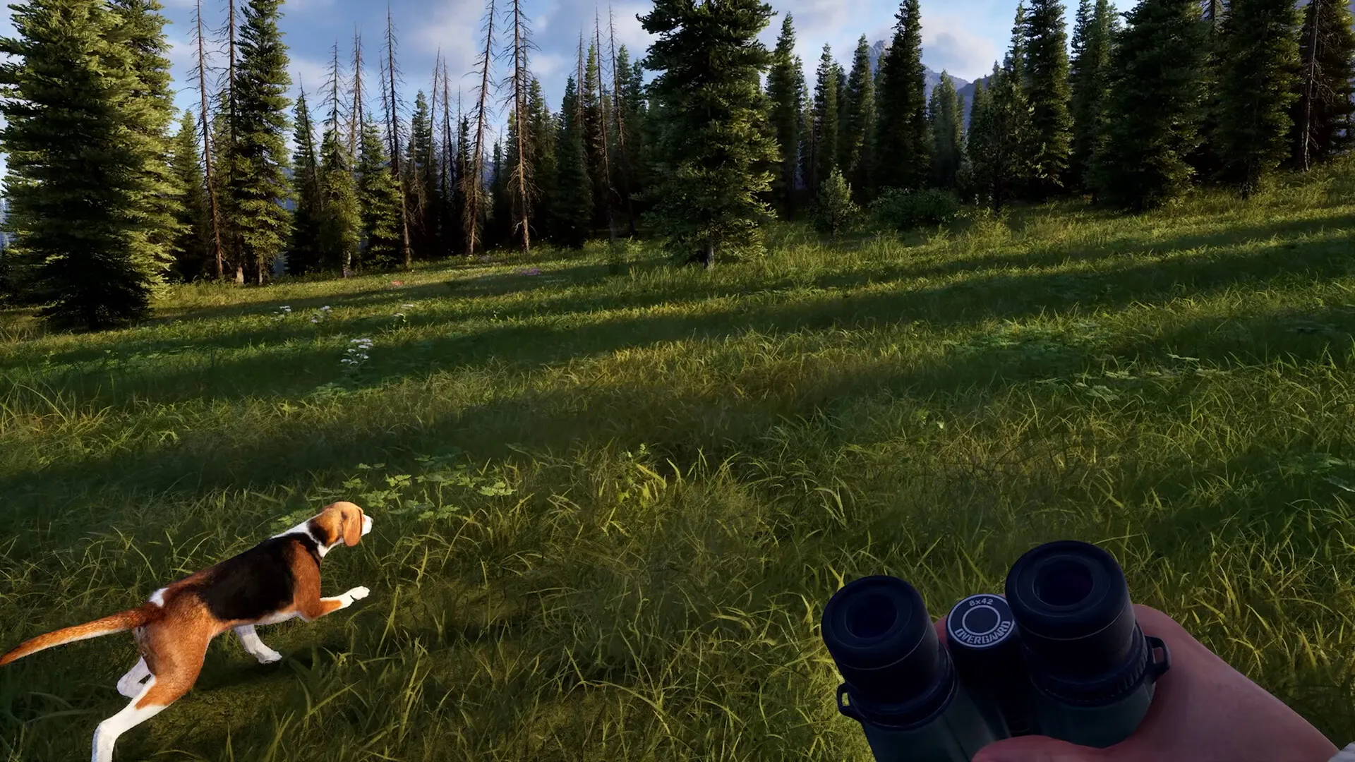Скриншот из игры Way of the Hunter 2 - 2