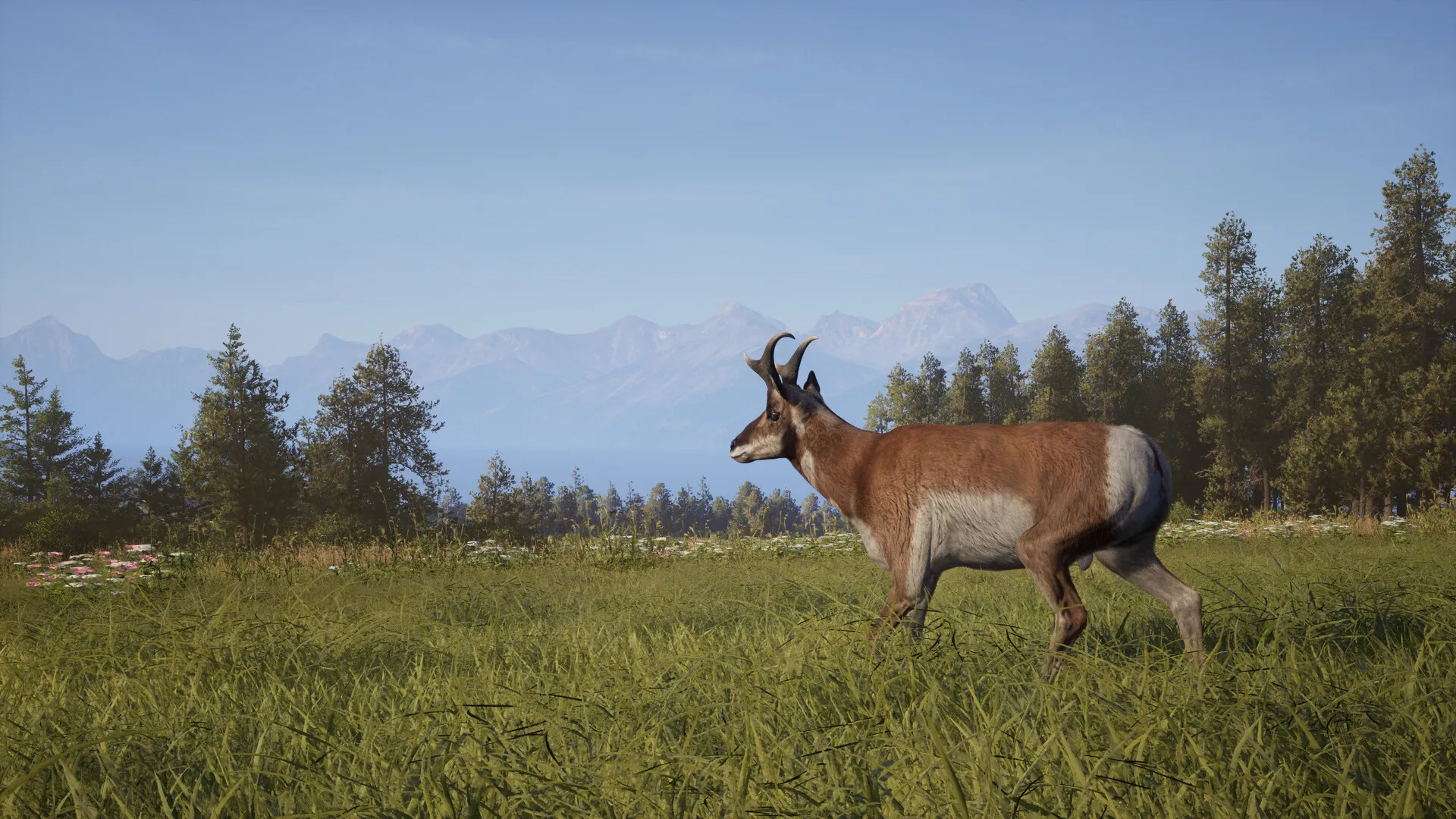 Скриншот из игры Way of the Hunter 2 - 17