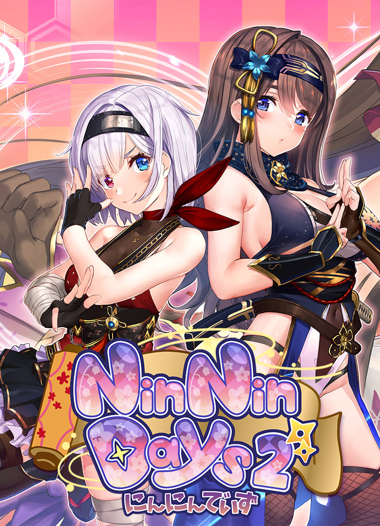 Обложка игры NinNinDays2