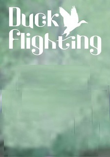 Обложка игры Duck Flighting