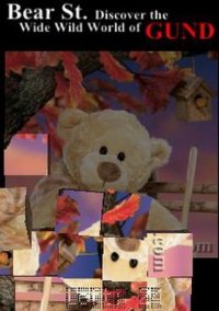 Обложка Bear St. Tumbler Puzzle