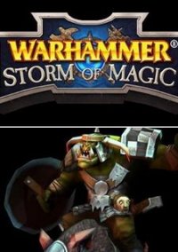 Обложка Warhammer: Storm of Magic