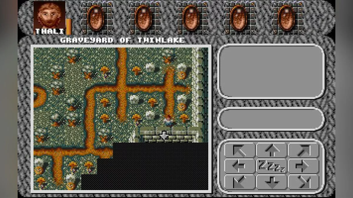 Скриншот из игры Amberstar - 2