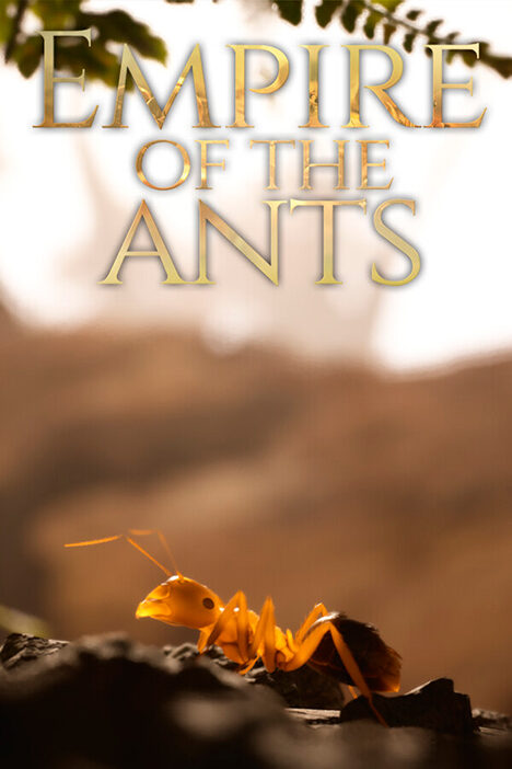 Обложка Empire of the Ants