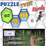 Обложка PuzzleTwistBirds