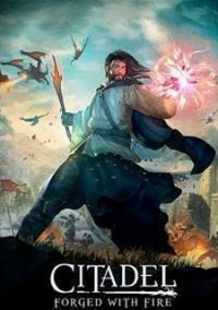 Обложка игры Citadel: Forged with Fire
