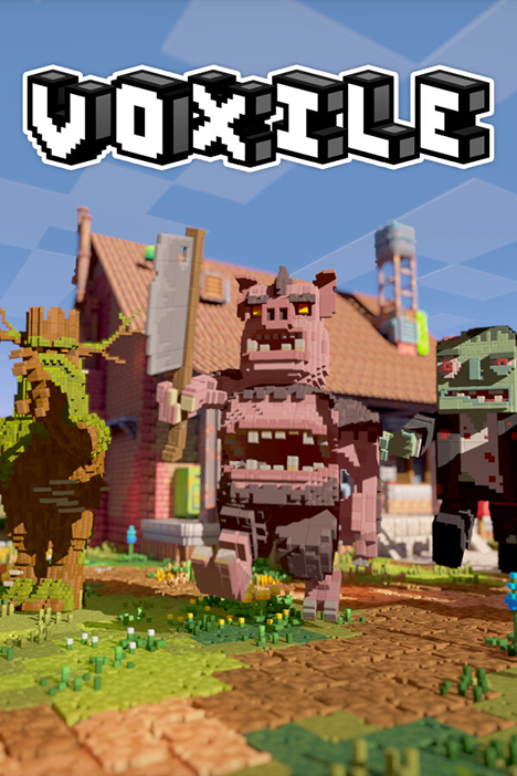 Обложка Voxile