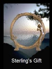 Обложка Sterling's Gift