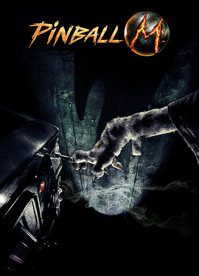 Обложка игры Pinball M